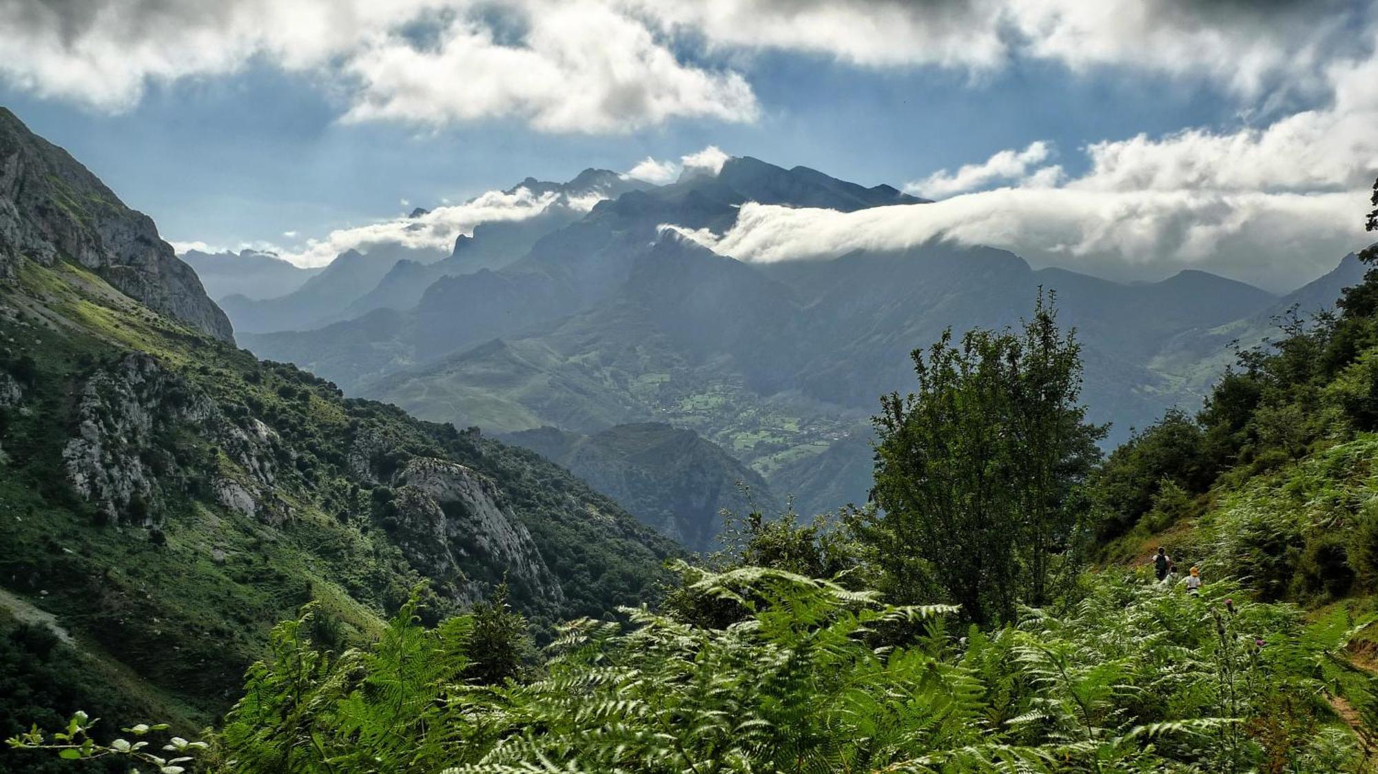 Posada Valle Del Oso Lerones Екстериор снимка